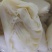 新鲜百叶茶毛肚茶香味美脆爽无渣高品质火锅食材