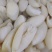新鲜百叶茶毛肚茶香味美脆爽无渣高品质火锅食材