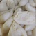 新鲜百叶茶毛肚茶香味美脆爽无渣高品质火锅食材