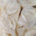 新鲜百叶茶毛肚茶香味美脆爽无渣高品质火锅食材