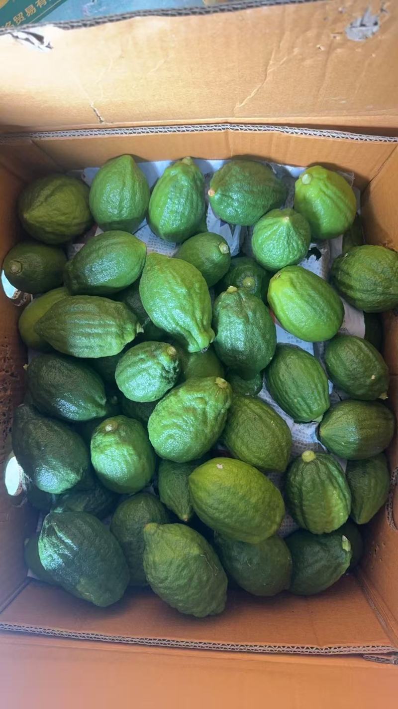 广东香水柠檬一级果