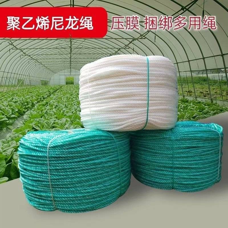 尼龙绳大棚绳子耐晒压膜专用抗老化篷布海水养殖耐磨渔网