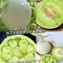 【玉菇甜瓜】山东玉菇甜瓜/冰淇淋玉菇甜瓜/产地直发便宜
