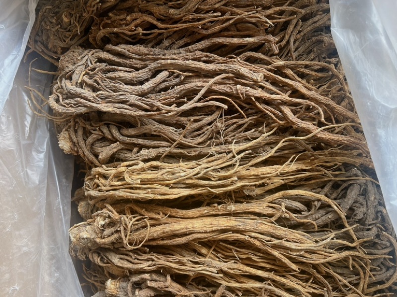 当归地摊电商批发甘肃岷县无硫当归中药材批发当归干