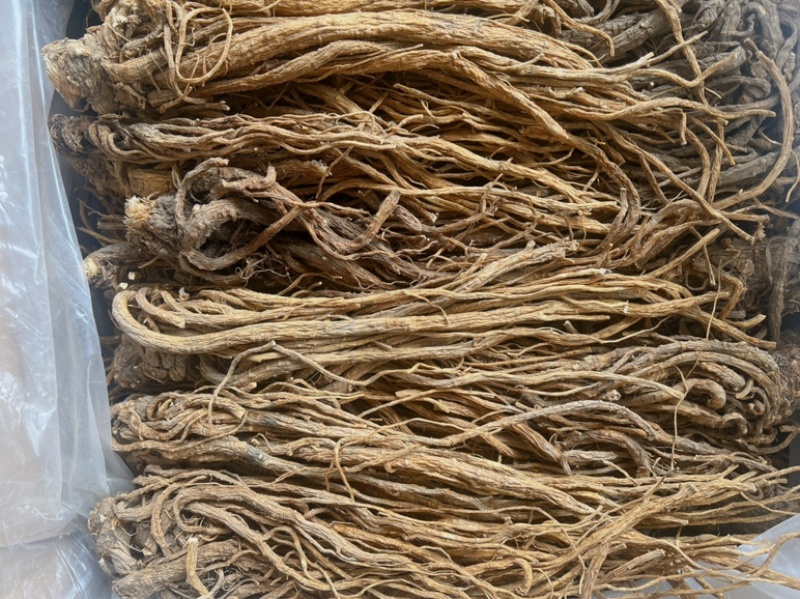 当归地摊电商批发甘肃岷县无硫当归中药材批发当归干