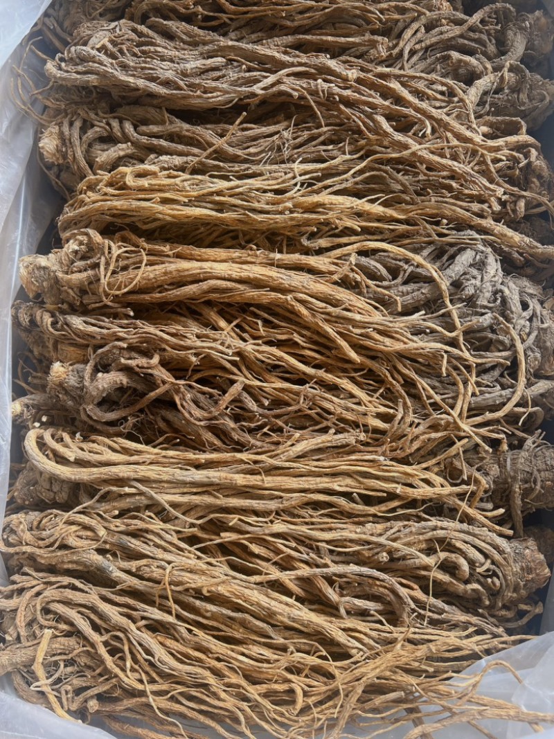 当归地摊电商批发甘肃岷县无硫当归中药材批发当归干