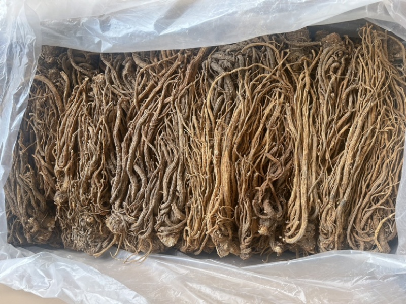 当归地摊电商批发甘肃岷县无硫当归中药材批发当归干