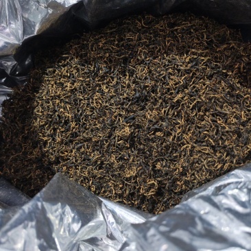 湘西高山云雾红茶