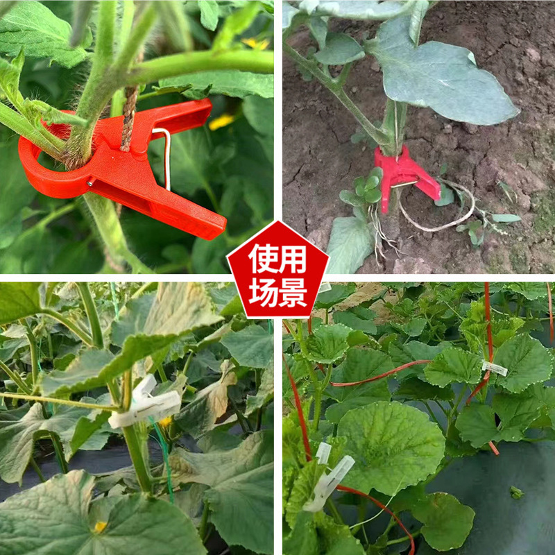 吊秧夹黄瓜夹子丝瓜大棚夹子番茄西红柿塑料夹子吊蔓夹厂价直销