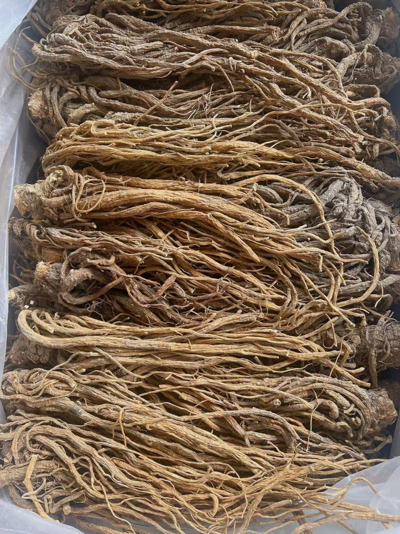 当归地摊电商批发甘肃岷县无硫当归中药材批发当归干