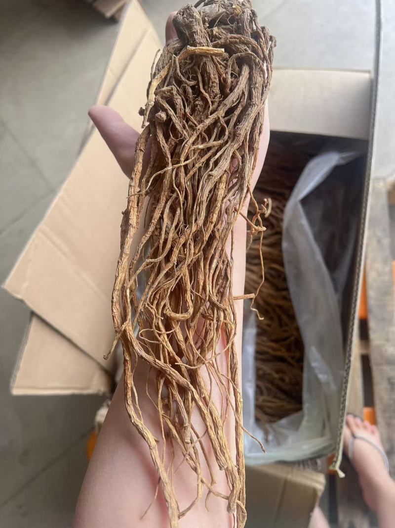 当归地摊电商批发甘肃岷县无硫当归中药材批发当归干