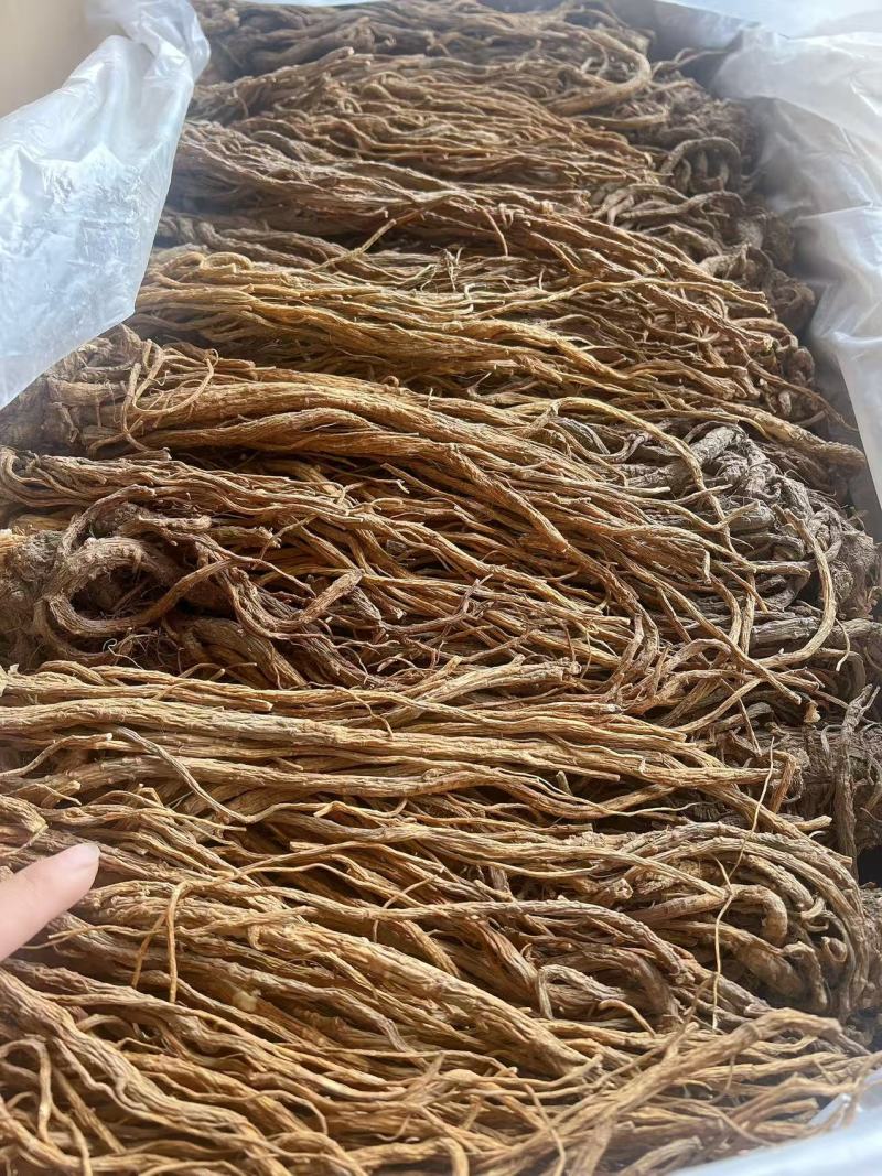 当归地摊电商批发甘肃岷县无硫当归中药材批发当归干