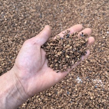 花茶厂辅料灵芝茶灵芝颗粒灵芝花茶香味浓郁不苦花茶厂辅料