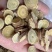 甘草地摊电商批发甘草片甘肃大圆红皮甘草片甘草片甘草干