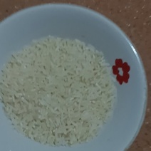两优5377大米