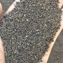 山西临汾市古县北柴胡柴胡籽，自产自销，柴质北柴胡籽。