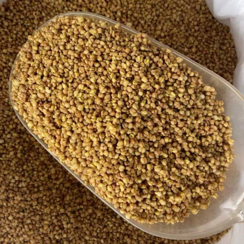 精选黄苦荞茶批发正宗黄苦荞浓香型苦荞麦茶黄苦荞茶大货批