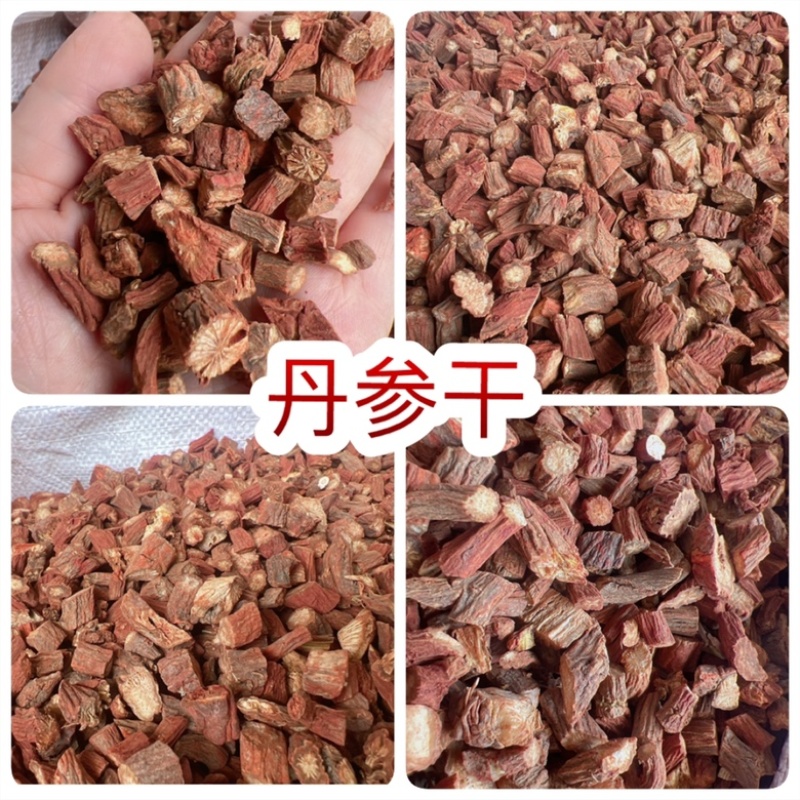 丹参干地摊电商批发中药材无硫红丹参丹参干干丹参