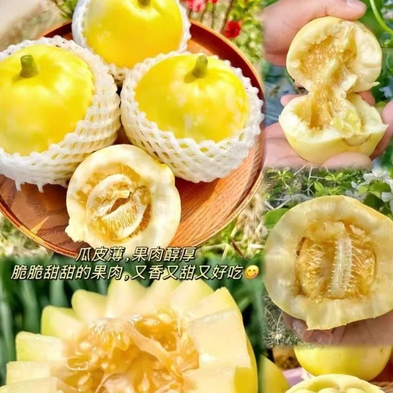 星甜20小蜜蜂甜瓜，支持一件代发，社区团购