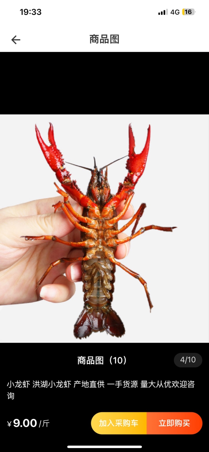 洪湖小龙虾
