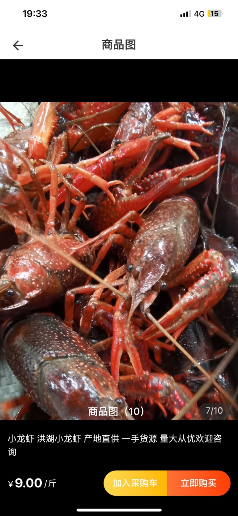 洪湖小龙虾