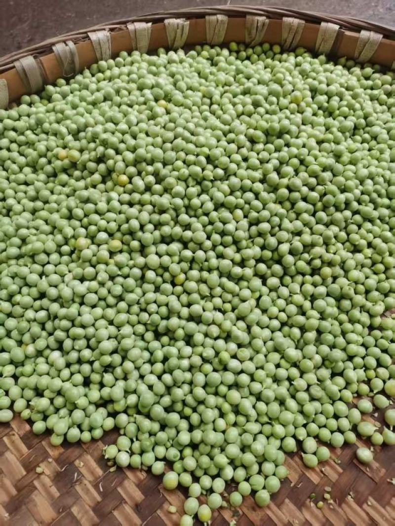 新鲜大白豌豆上市，对接市场，档口电商，品质保障，量大从优