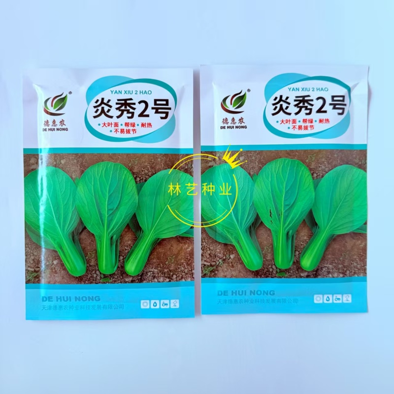 炎秀2号青梗菜种子叶圆翠绿叶柄肥厚耐热耐湿抗病不易拔节