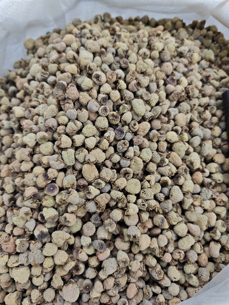 覆盆子无硫中药材覆盆子泡茶水干果复盆子覆盘子果干新大颗粒