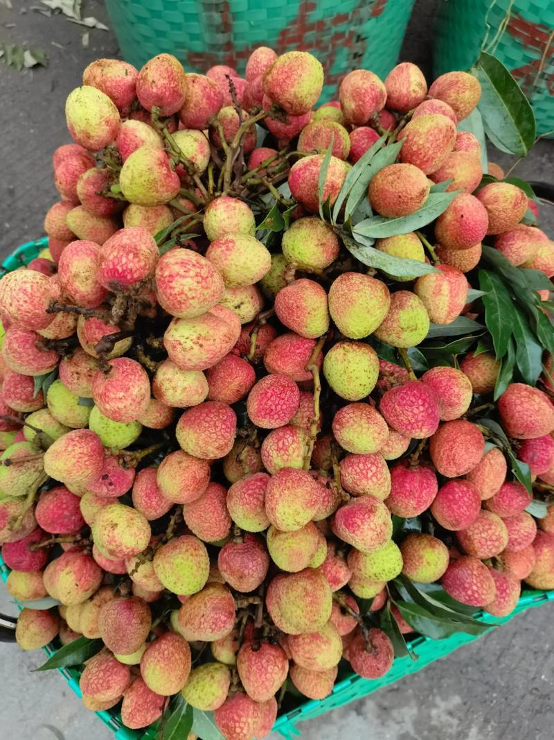 荔枝，大量现货，对接各大电商平台，一件代发