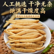 野生贵州太子参***特级孩儿参批发各种中药材
