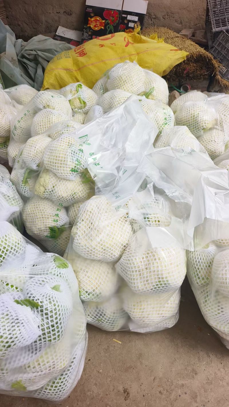 精品有机花