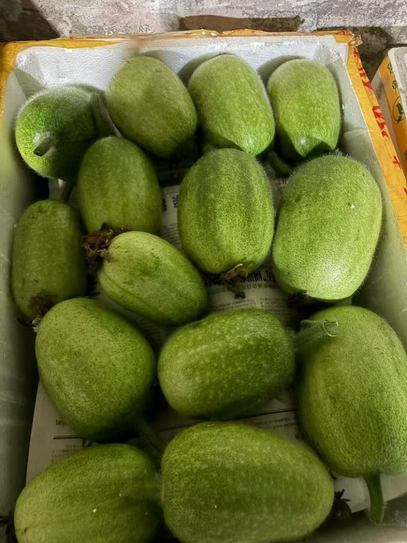 白皮吊冬瓜小瓜仔