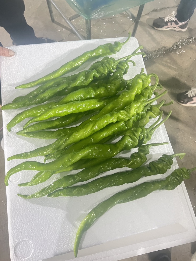 螺丝椒
