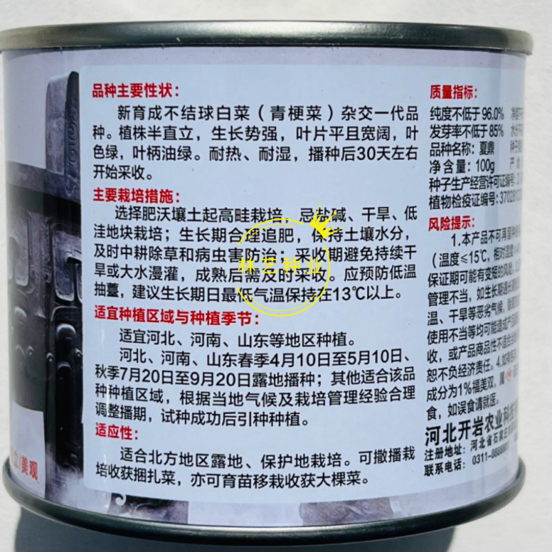 开岩夏鼎青梗菜种子一代杂交叶柄油绿耐热耐湿植株半直立