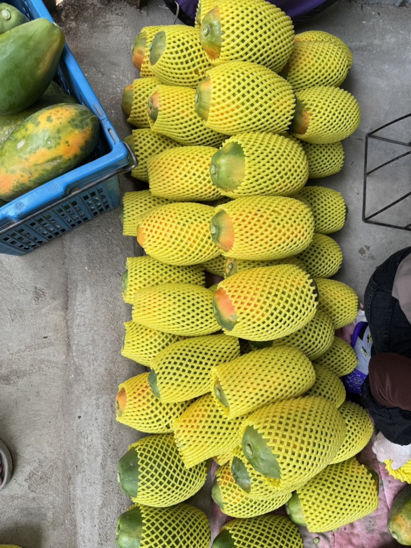 红心木瓜