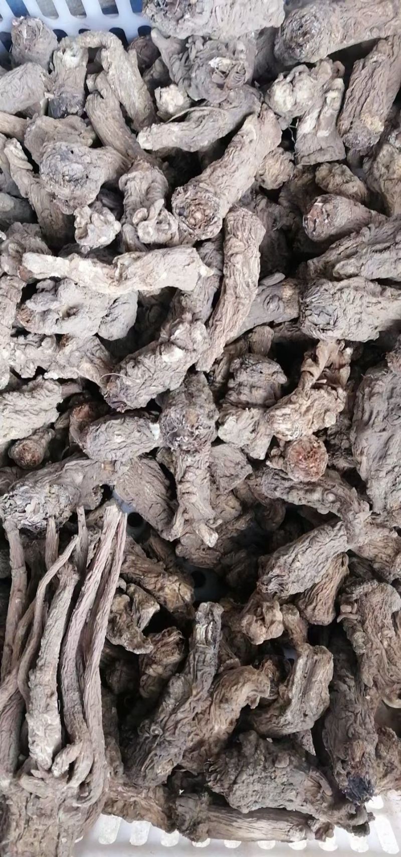 甘肃无硫当归个子新货全当归炖肉