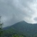 广东信宜前排三华李，市场，电商平台，主播代发，欢迎合作