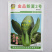 金品新夏2号青梗菜种子高产耐高温不拔节大叶面夏季青菜种籽