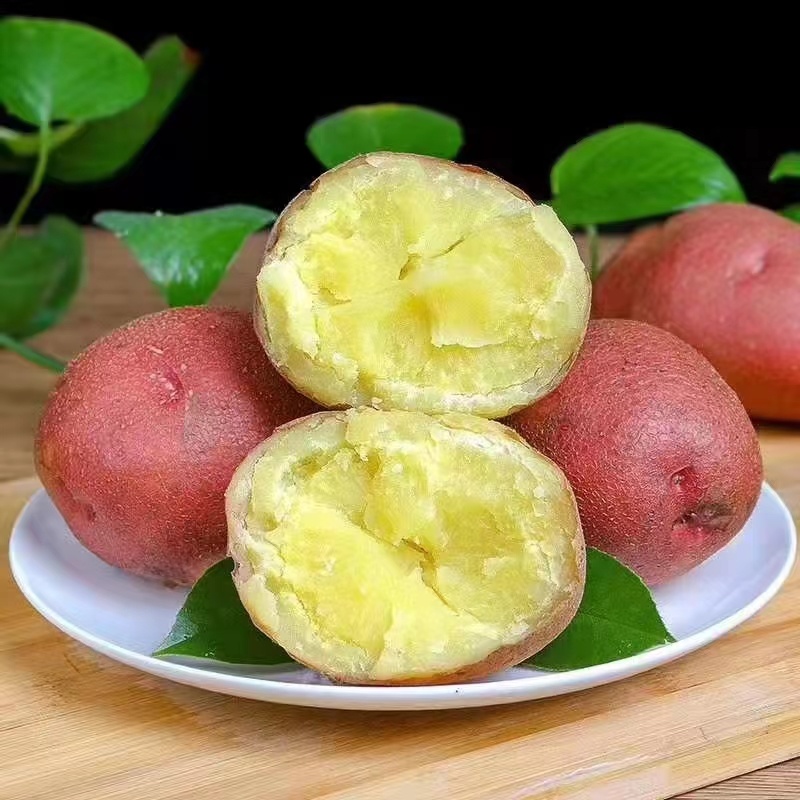 云南红皮黄心小土豆
