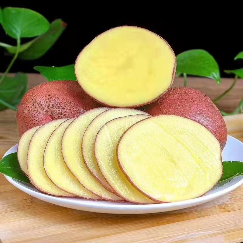 云南红皮黄心小土豆