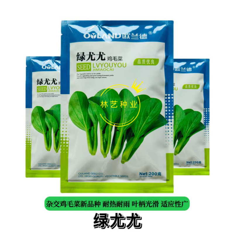 绿尤尤鸡毛菜种子叶柄浅绿色杂交长速快耐热耐雨水夏秋季播