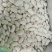 白芸豆