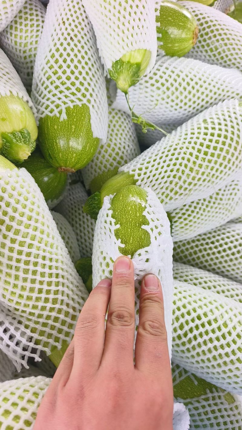 西葫芦