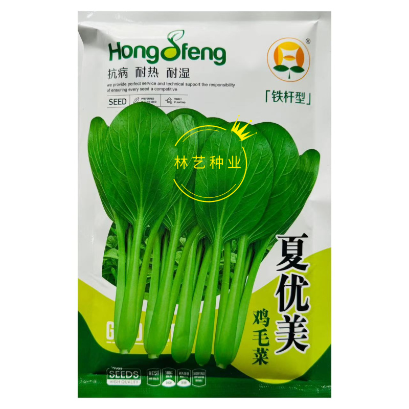 夏优美鸡毛菜种子铁杆型上市早抗病强耐湿热南北春夏秋四季播