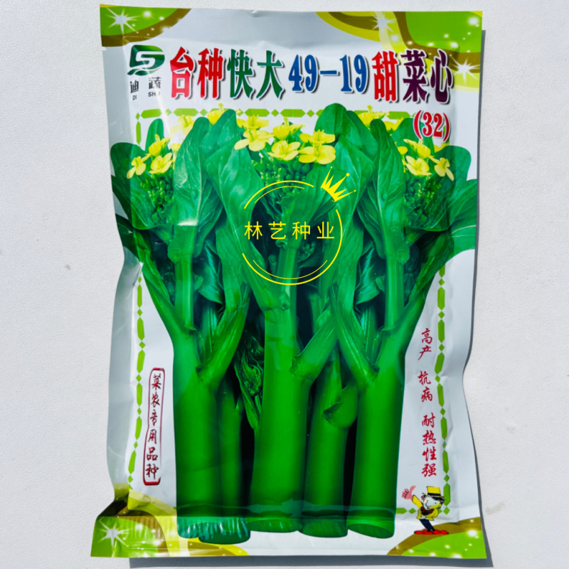 台种快大49-19甜菜心种子高产耐热菜苔种籽菜农专用