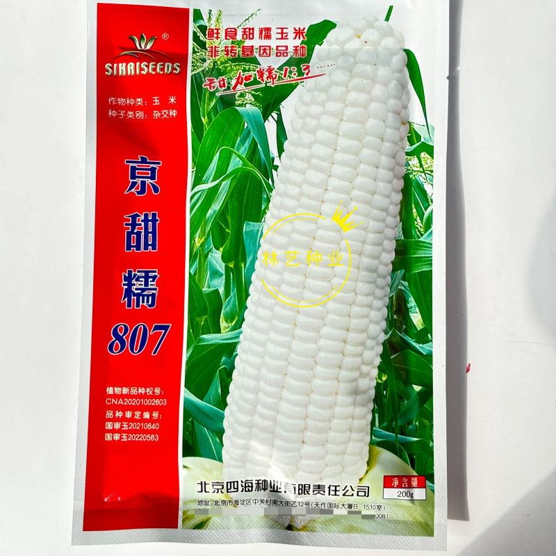 京甜糯807鲜食甜糯玉米种子大穗鲜食杂交甜糯苞米籽