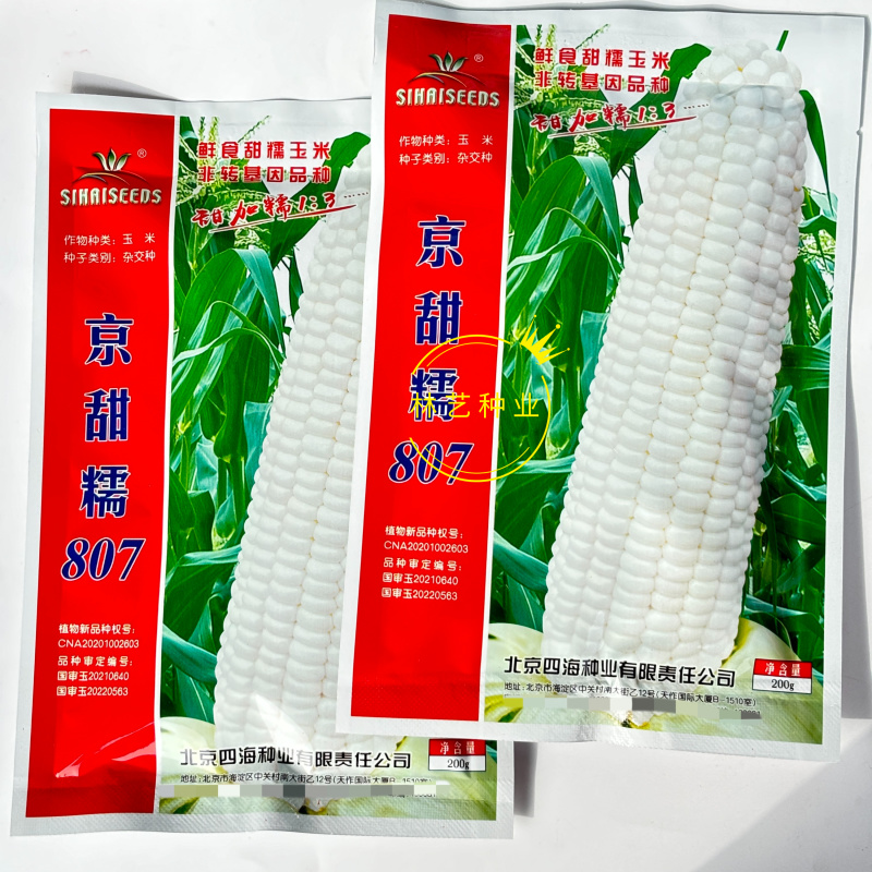 京甜糯807鲜食甜糯玉米种子大穗鲜食杂交甜糯苞米籽