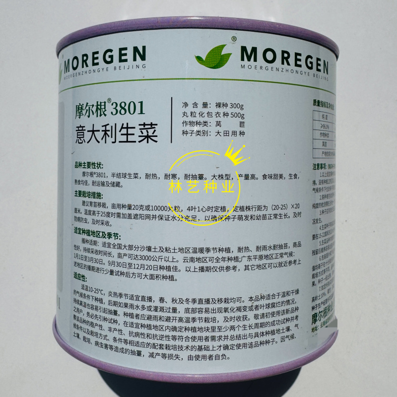 摩尔根3801意大利生菜种籽高产耐热耐寒耐抽苔半结球丸粒
