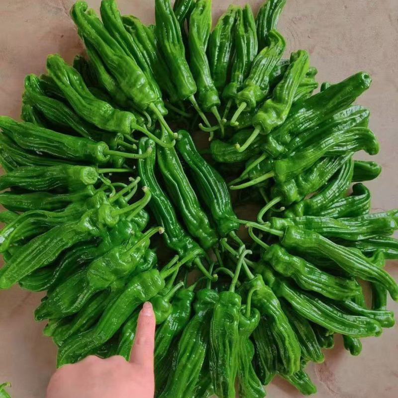 芜湖椒