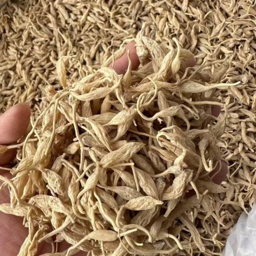 麦冬正宗正品四川绵阳特级泡水煲汤搭配干货党参黄芪西洋参泡